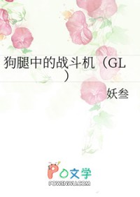 419,狗腿中的战斗机