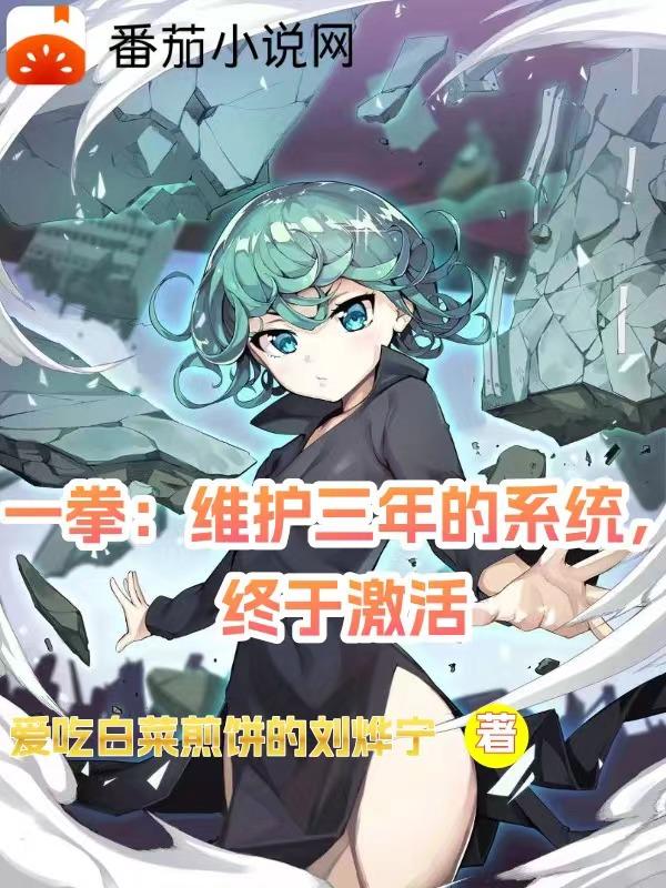 一拳：维护三年的系统,终于激活